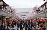 Tokyo Halfday Tour