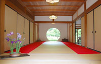 Kamakura Tour