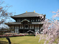 Nara Tour